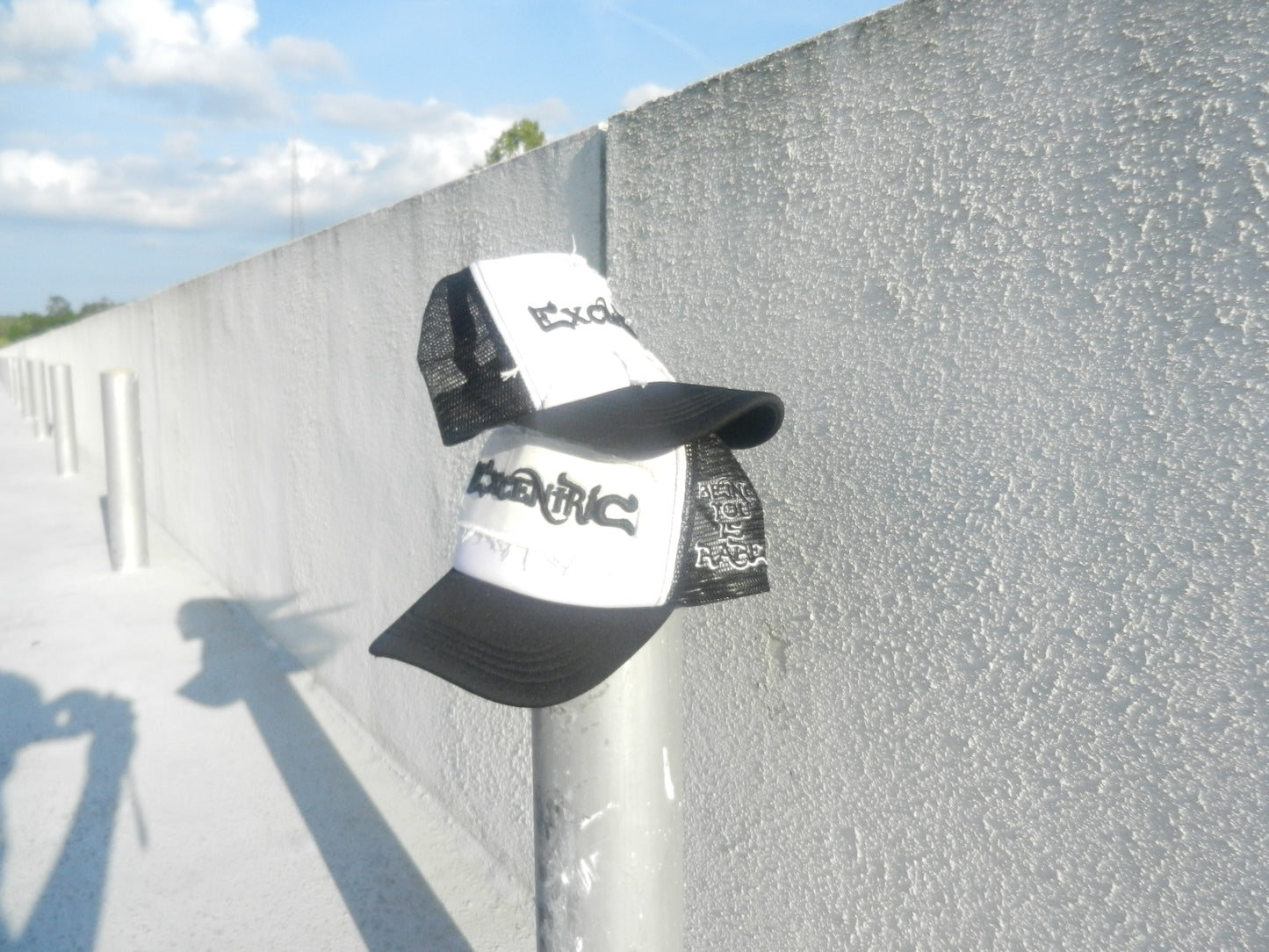 "Being You is Rare" Trucker